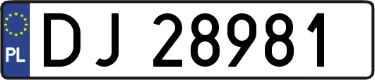 DJ28981