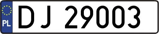 DJ29003