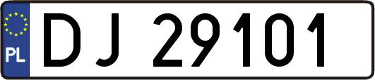 DJ29101