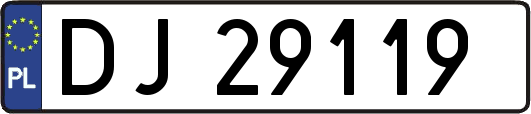 DJ29119