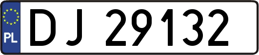DJ29132