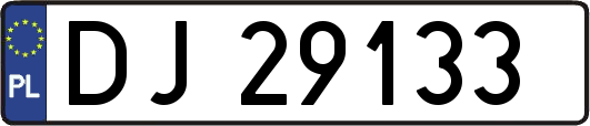 DJ29133