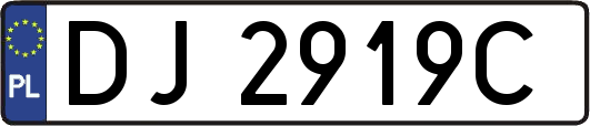 DJ2919C
