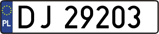 DJ29203