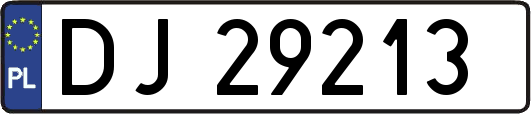 DJ29213