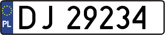 DJ29234