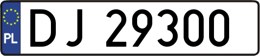 DJ29300