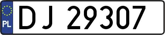 DJ29307