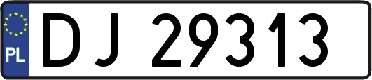 DJ29313