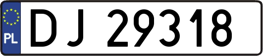 DJ29318