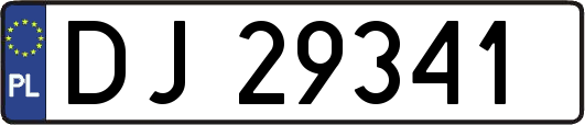 DJ29341