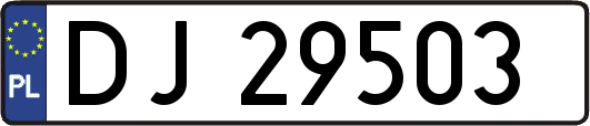 DJ29503