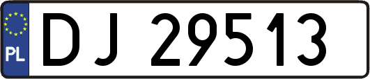 DJ29513