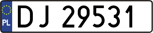 DJ29531