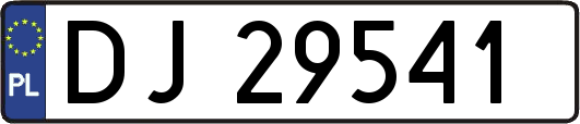 DJ29541