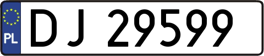 DJ29599