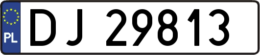 DJ29813