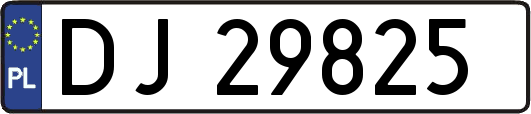 DJ29825