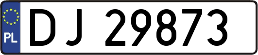 DJ29873