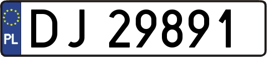 DJ29891
