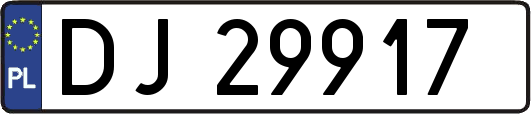 DJ29917
