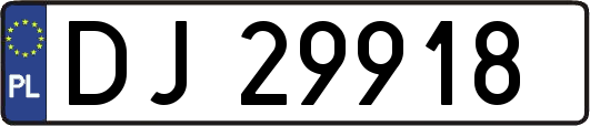 DJ29918
