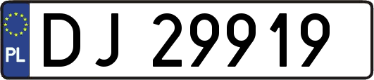 DJ29919