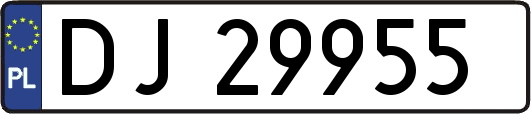 DJ29955