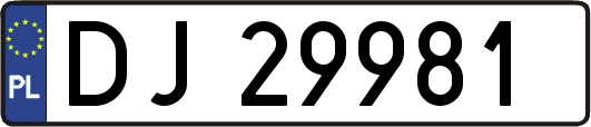 DJ29981