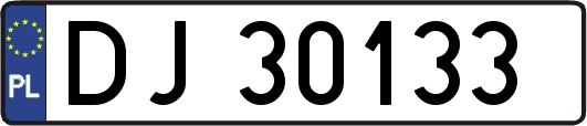 DJ30133