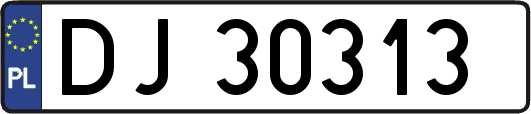 DJ30313