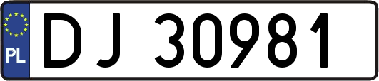 DJ30981