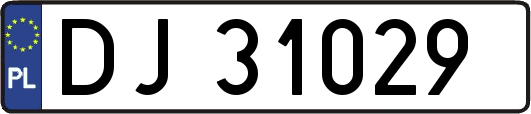 DJ31029