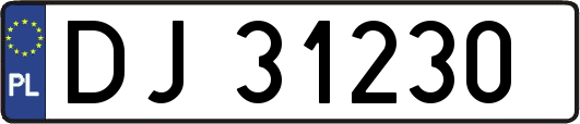 DJ31230