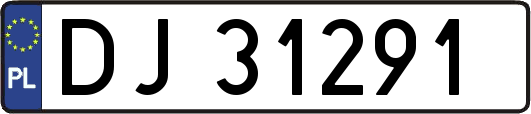 DJ31291