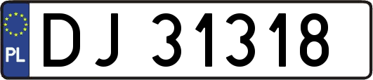 DJ31318