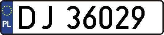 DJ36029