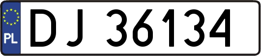 DJ36134