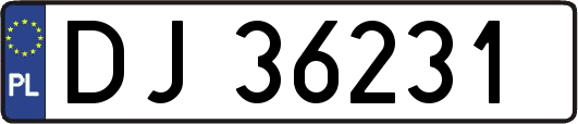 DJ36231