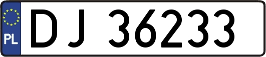 DJ36233