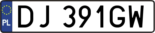 DJ391GW