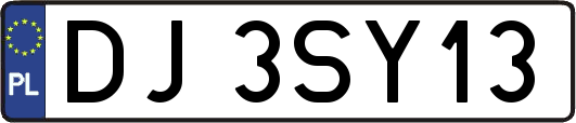 DJ3SY13