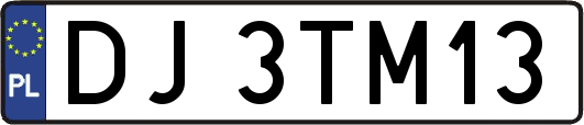 DJ3TM13