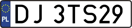 DJ3TS29