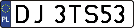 DJ3TS53