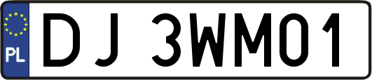 DJ3WM01