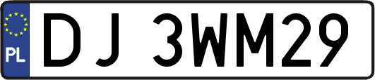 DJ3WM29