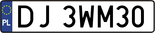 DJ3WM30