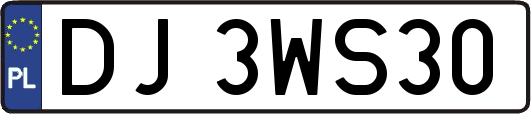 DJ3WS30