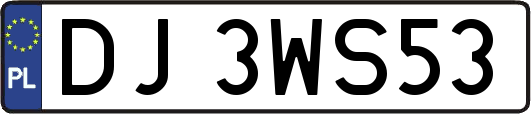 DJ3WS53